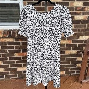 Black and White Daisy Forever21 Dress